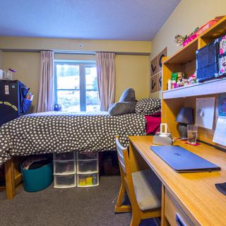 Traditional Style bedroom