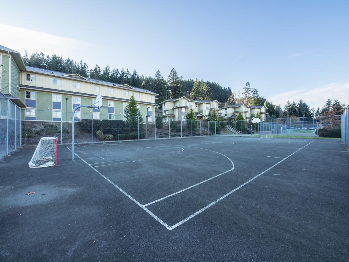 Student Housing basketball court